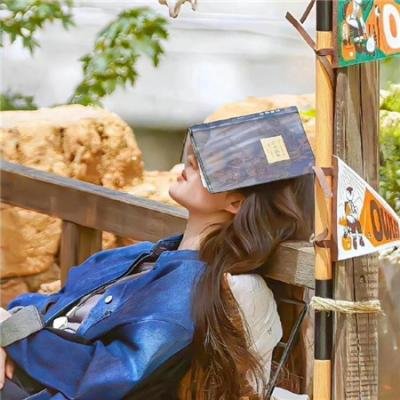 春闺梦里人